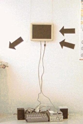 I, la take and Wii(Gypsum) (2009) poster