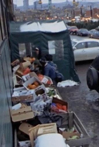 Surfing the Waste: a Musical Documentary about Dumpster Diving (2008) poster
