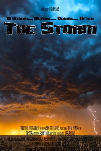 The Storm (2007) poster