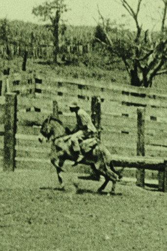 Auf einer Pferdefarm in Rio Grande! (1908) poster