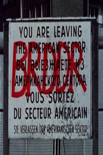 BRDDR (1981) poster