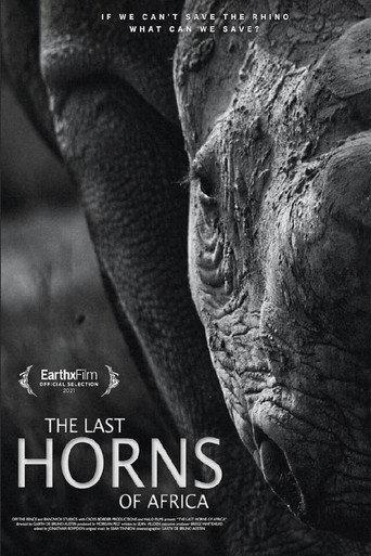 The Last Horns Of Africa (2021) poster