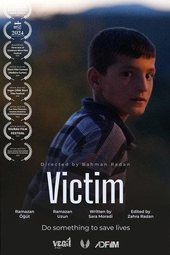 Victim () poster