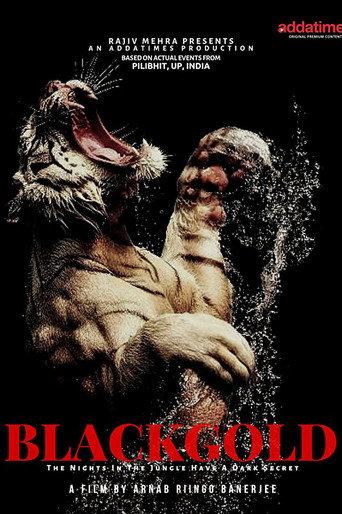 Blackgold () poster