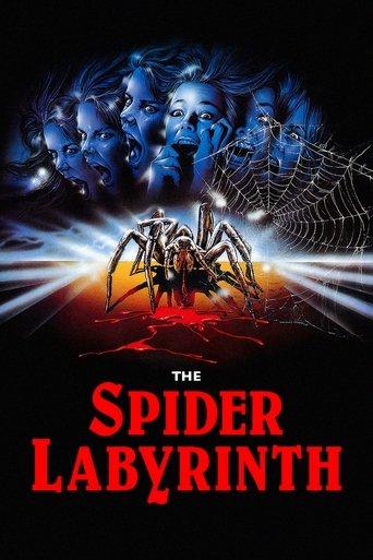 The Spider Labyrinth (1988) poster