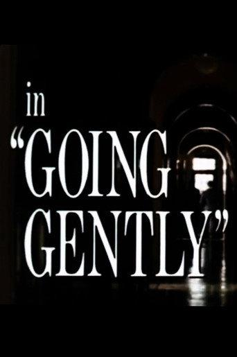 Going Gently (1981) poster