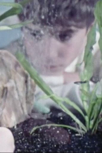 An Aquarium In Action (1972) poster