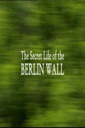 The Secret Life of the Berlin Wall (2009) poster