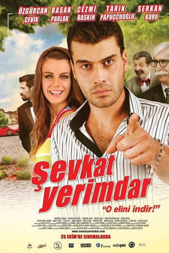 Şevkat Yerimdar (2013) poster