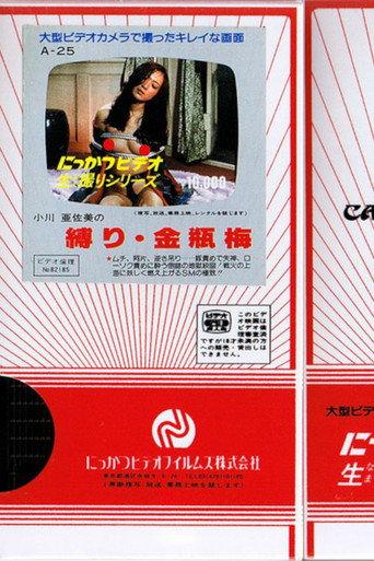 Asami Ogawa's Binding: Jin Ping Mei (1982) poster