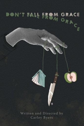 Don't Fall From Grace (2024) poster