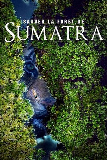 Save the Sumatran Forest (2019) poster