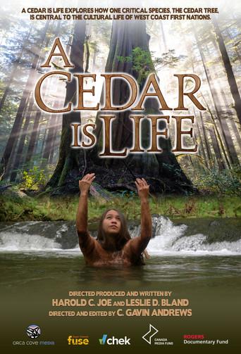 A Cedar Is Life () poster