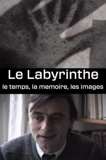 Le Labyrinthe - le temps, la memoire, les images (1989) poster