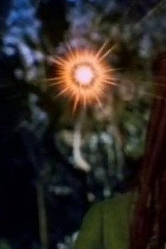 Hinekaro Goes on a Picnic and Blows Up Another Obelisk (1994) poster