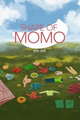 Shape of Momo: छोरा जस्तै (2026) poster