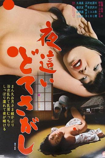 Night Visitors: Sex Hunt (1979) poster