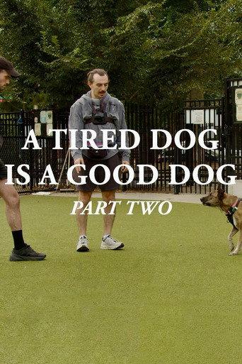 A Tired Dog is a Good Dog, Part Two (2025) poster