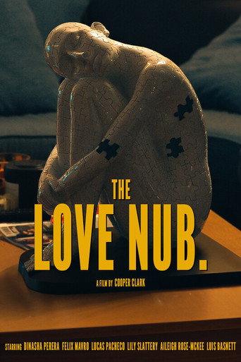 The Love Nub () poster