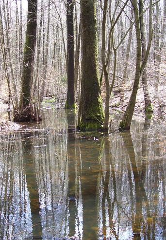 ________ (2018) poster