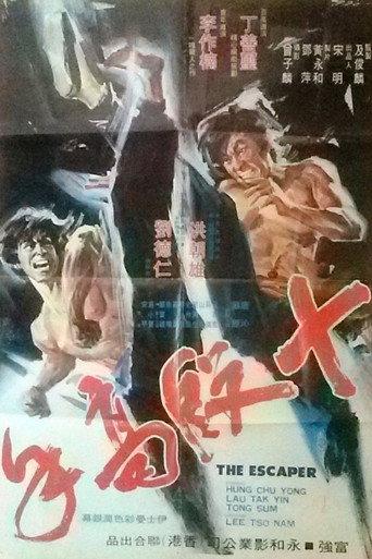 The Escaper (1973) poster
