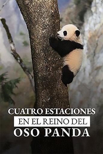 Four Seasons in the giant Panda’s kingdom (2022) poster