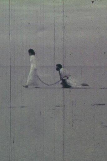 This Coming and Going (1975) poster