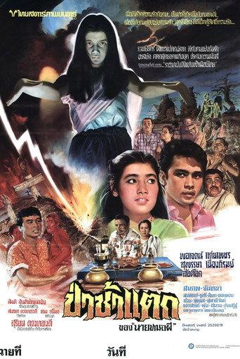 The Graveyard (1981) poster