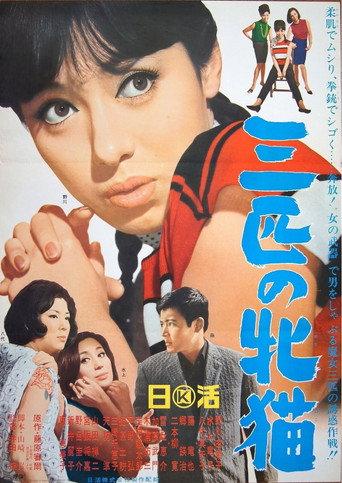 Three Wild Cats (1966) poster