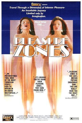 Pleasure Zone (1983) poster