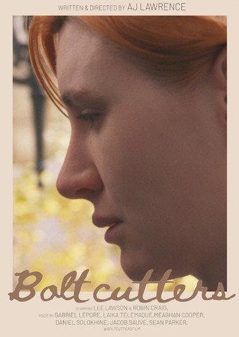 Bolt Cutters () poster