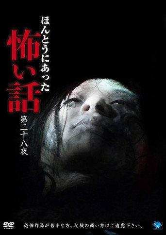 Scary True Stories: Night 28 (2014) poster