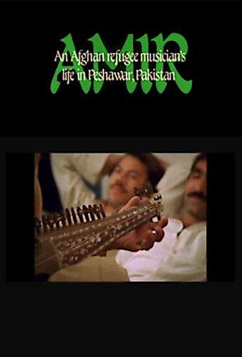 Amir: An Afghan Refugee Musician's Life in Peshawar, Pakistan (1985) poster