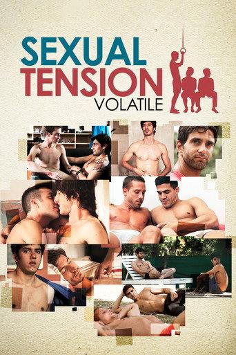 Sexual Tension: Volatile (2012) poster