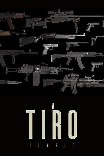 A tiro limpio (2013) poster