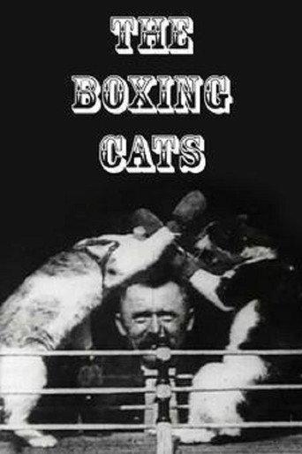 The Boxing Cats (1894) poster