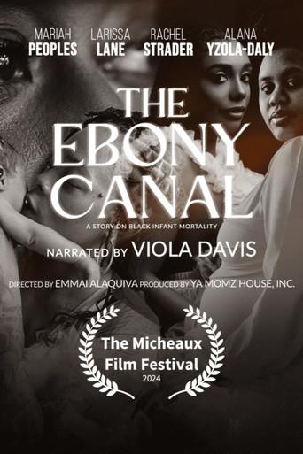 The Ebony Canal: A Story of Black Infant Mortality (2025) poster