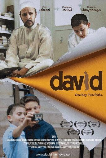 David (2011) poster