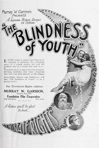 The Blindness of Youth (1917) poster