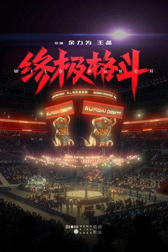 Wild Punch () poster