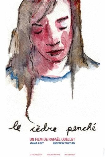 Mona's Daughters (2007) poster