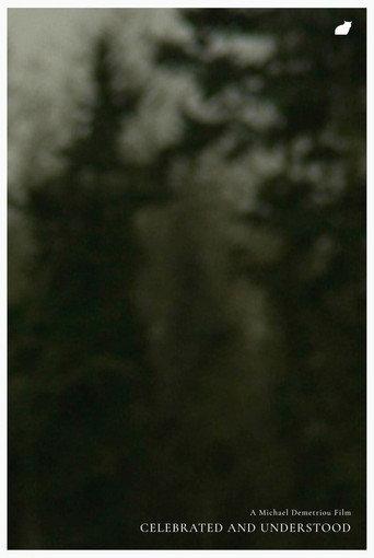 Celebrated and Understood (2011) poster