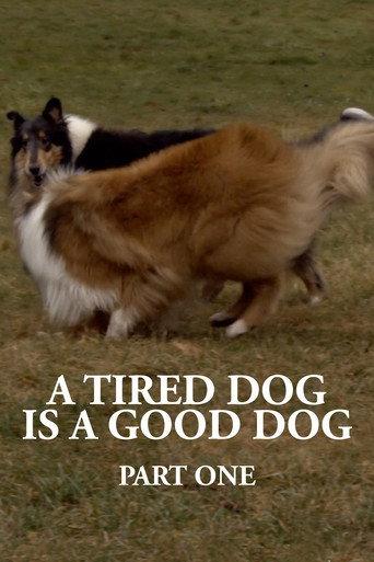 A Tired Dog is a Good Dog, Part One (2022) poster