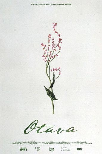 Otava (2021) poster