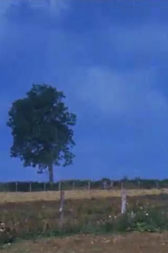 Dehors (1985) poster