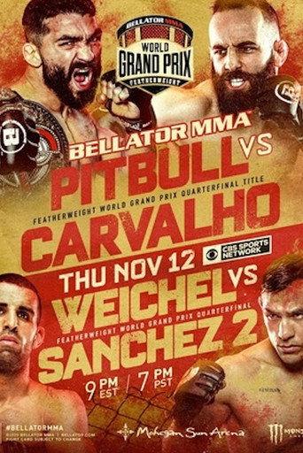 Bellator 252: Pitbull vs. Carvalho (2020) poster