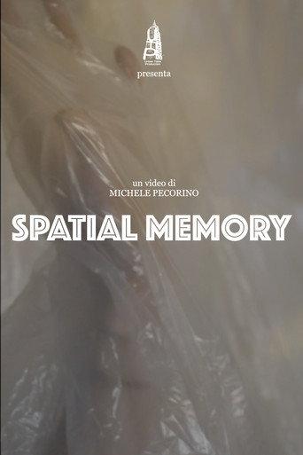 Spatial Memory (2022) poster