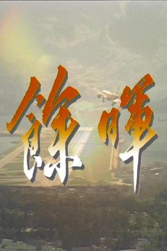 余晖 (1988) poster