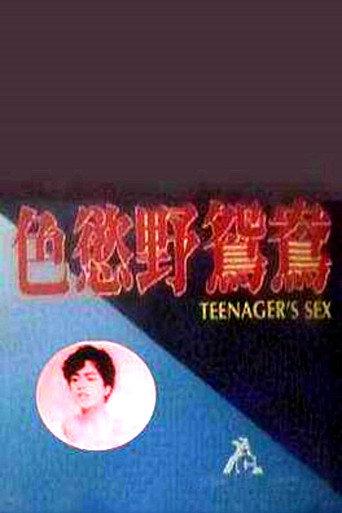Teenager's Sex (1987) poster