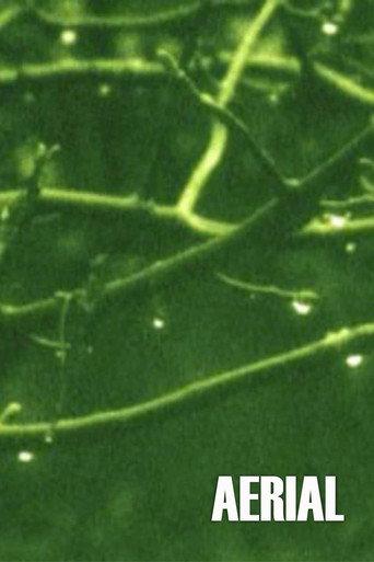 Aerial (1974) poster